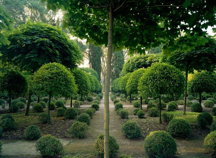 gardeninglovers:Giardini della Landriana, Tor San Lorenzo, Italy. » Lindman Photography