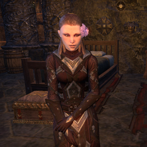 partyatsanguines:more eso dark brotherhood appreciation