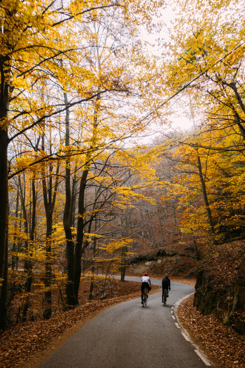 Autumn rides in the cold.