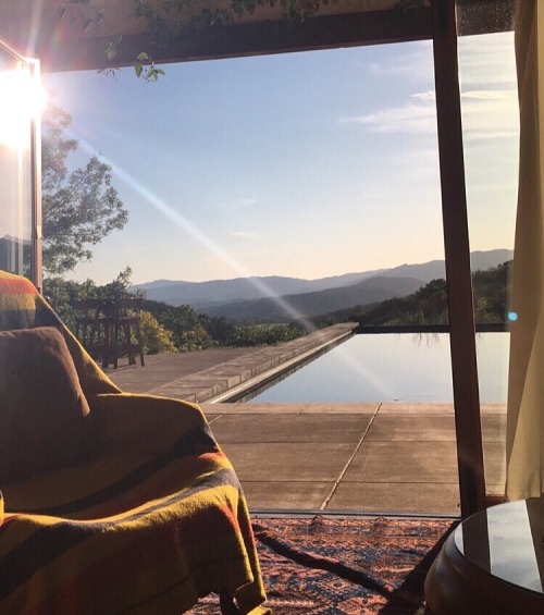 angellcrush:  never leavin