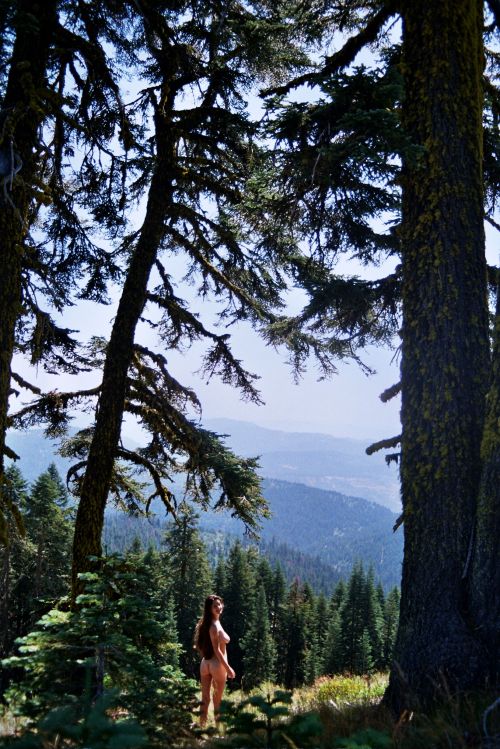 35mm by Sophie SeymourMt Ashland, Oregon. 