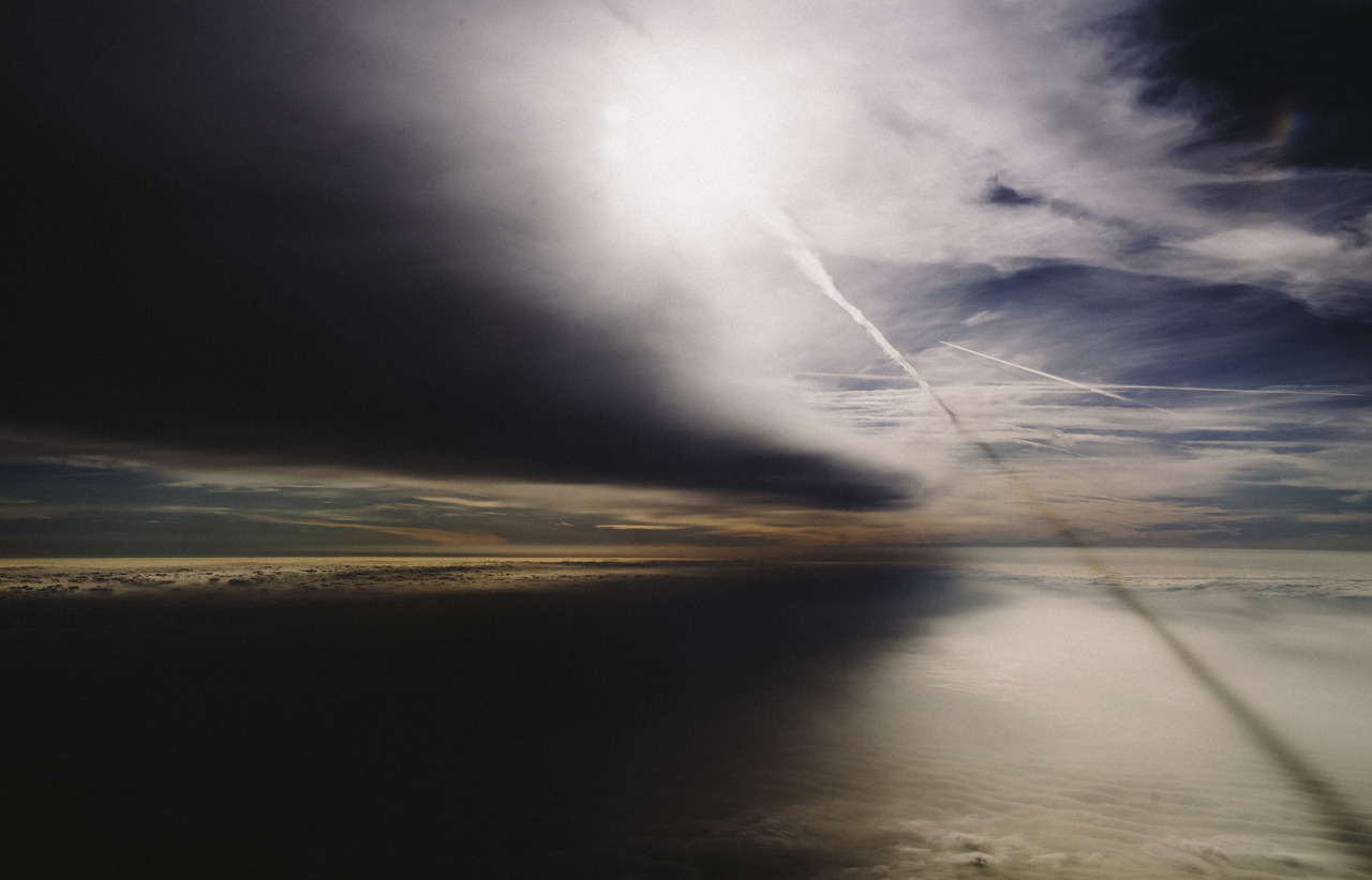 atraversso:  Sun, Trees and Love  by Daniel Fuchs 