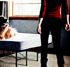 hannibalsgifs:  favorite Hannibal outfits: Alana Bloom in 2x01 