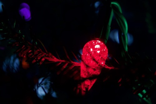 The Red Light, photo by Mary Jean Massie