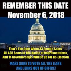 skitzofreak:  anauthorandherservicedog:  gertiecraign:  sethevans495: Flush them all THIS! This is the election that counts. Start educating yourself now on who will be campaigning to be your congresspeople/governor/etc.  Register to vote NOW. Don’t