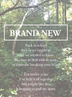 bra-ndnew:  seventy times 7 // brand new