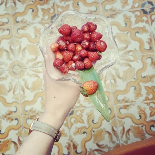 Un bouquet di fragole Sta iniziando la stagione dei frutti di bosco siete pronte? . . . #fitfood #f