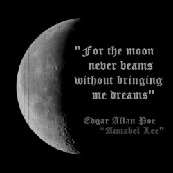 mitthjartahopparoverettslag:  Annabel Lee