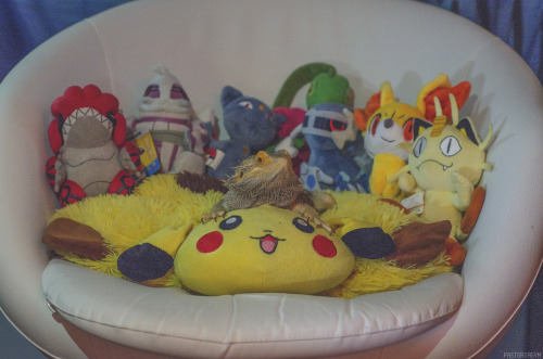 pastoriagym:Ted showing off his collection of Pokemon toys