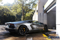 automotivated:  The Bull Aventador! (by Gustavo Campos - Onehunterr)