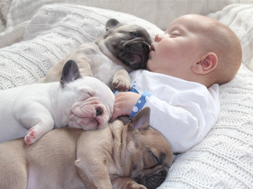 XXX bnenetwork:  Babies and bulldogs. That’s photo