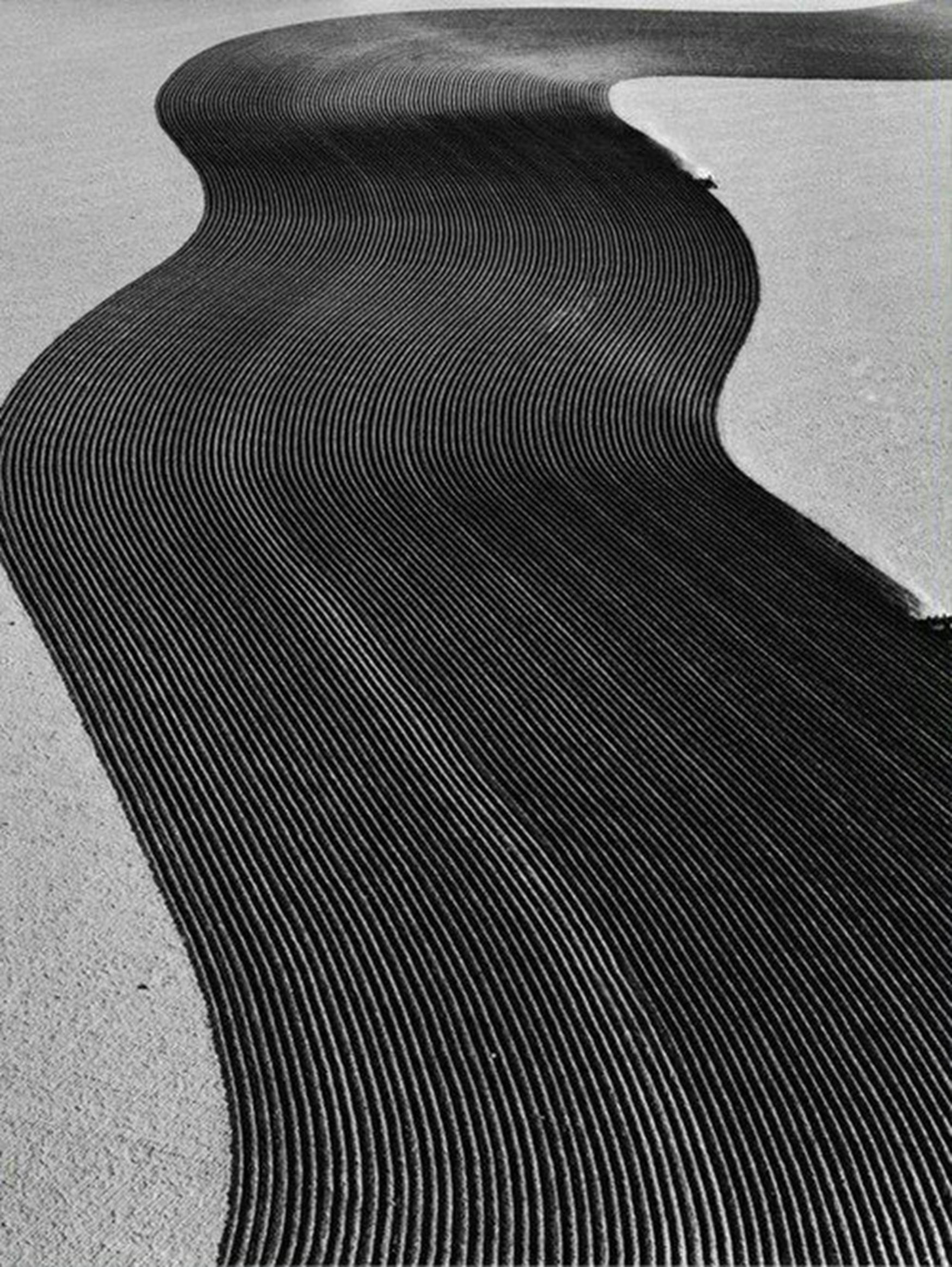Tumblr image