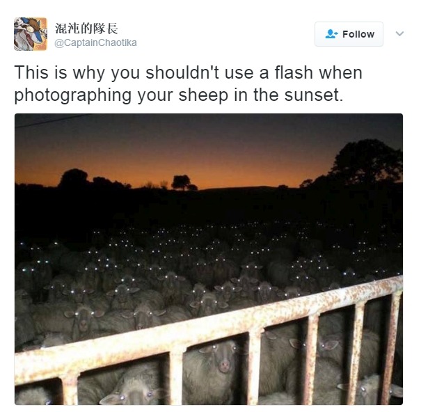 The Best of Tumblr
