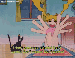 redmuffinshow:  from Sailor Moon R ep. 18 let the “ME” shit begin redmuffinshow.tumblr.com 