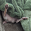 eclecticgamepossum