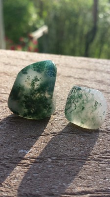 silvarum:  Moss agate! 