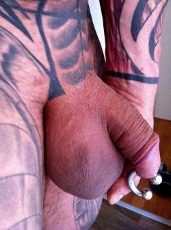hot ringed cock