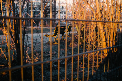 Golden Winter SunBerlin Friedrichshain, February 2018