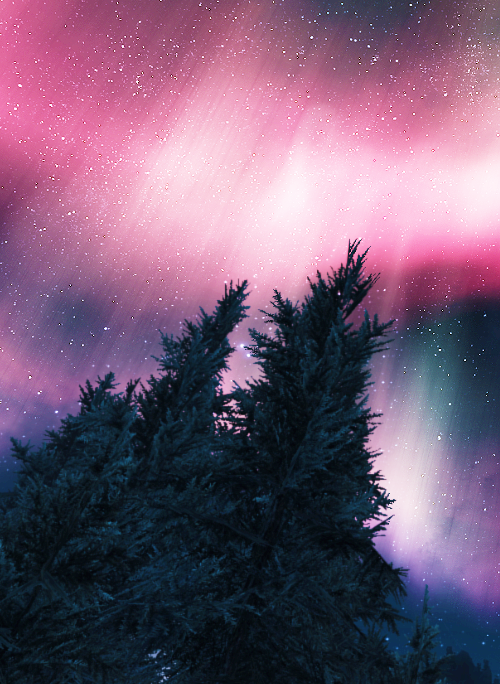 f4iryblue:  🍄·•✨