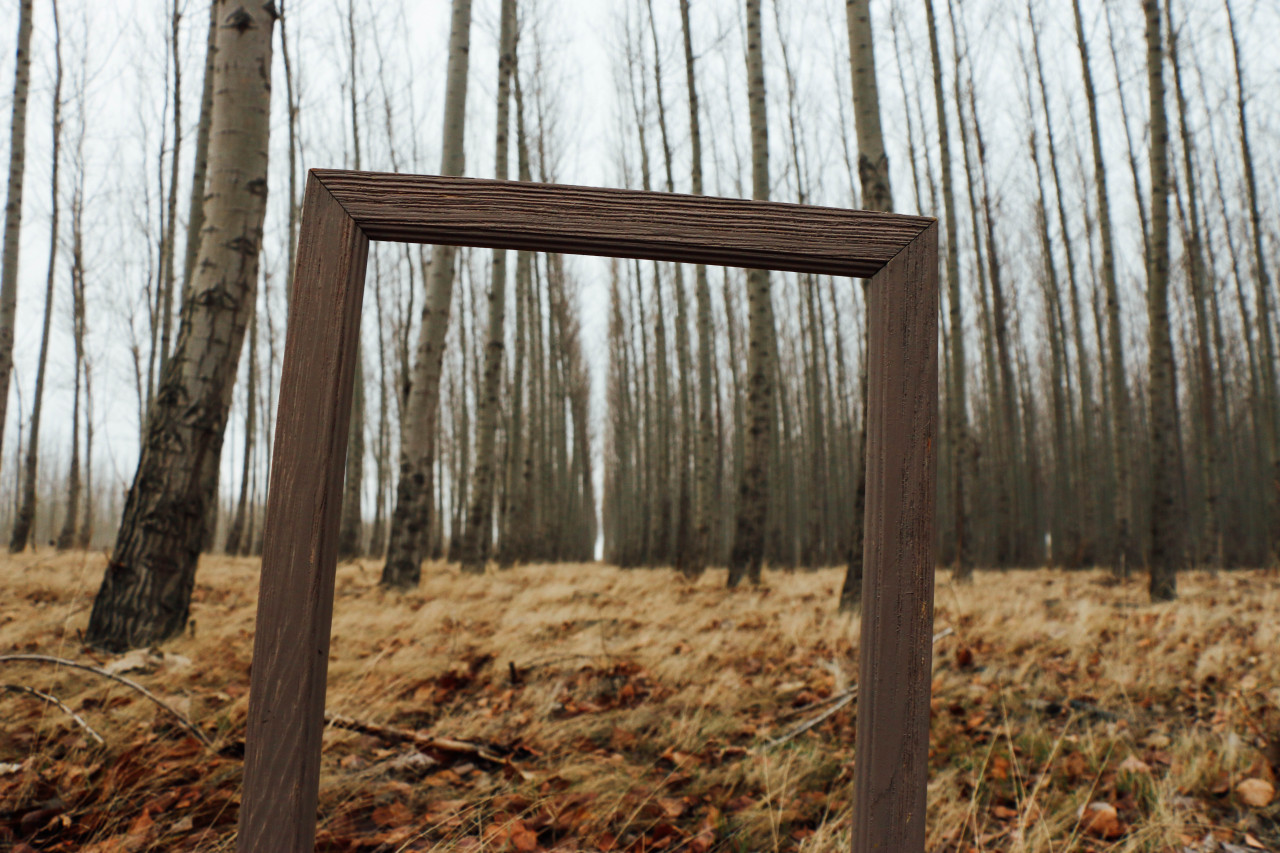 lambgriffin:  The Famous Tree Farm. (Oregon) © 2014 Griffin Lamb Photography 