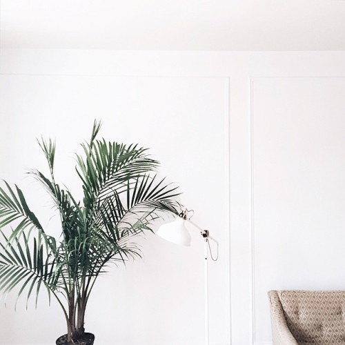 graceinchrist:Mary Spears.