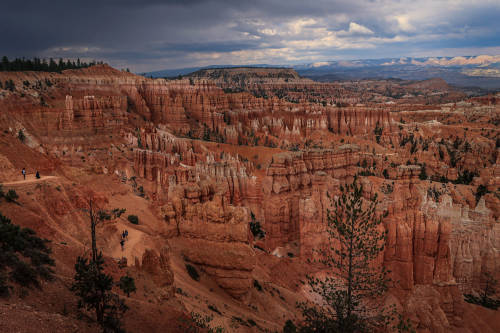 Bryce Canyon by Nicolas Barison