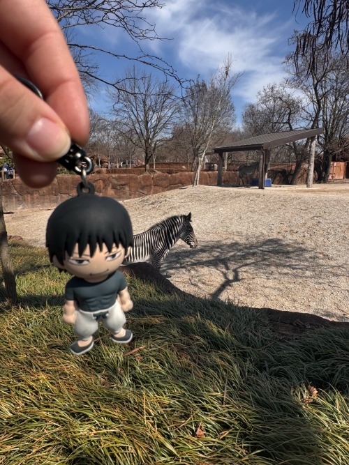 I Took Toji To The Zoo And Art Museum Today!! I Think He Enjoyed Himself :P
