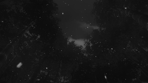 It&rsquo;s snowing. | via Tumblr on We Heart It. https://weheartit.com/entry/76873659