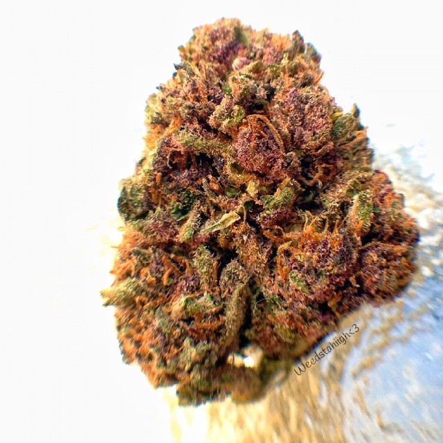 weedporndaily:  Wish I had someone to match with, oh well .. more for me 😍😁