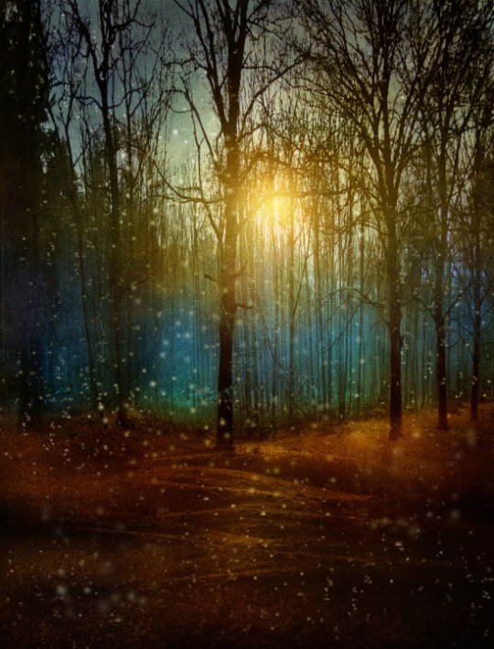 wnq-writers: bestofs6:    VIVIANA GONZALEZ    More by the Artist Here  25% OFF EVERYTHING