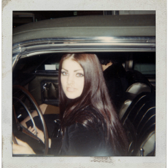 XXX sophialorens:  Priscilla Presley, c. 1960s photo