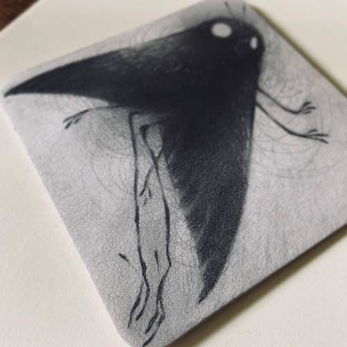 nataliehall:Them little peets — view on