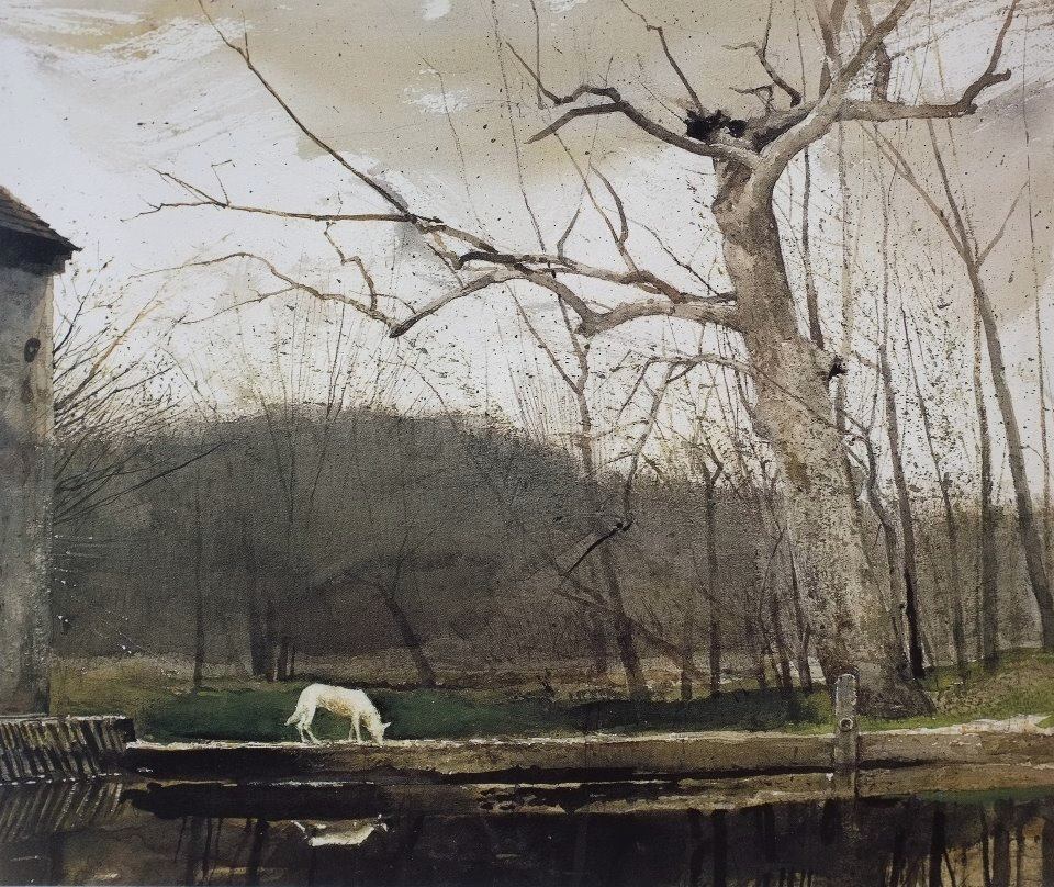 aizobnomragym: Andrew Wyeth “South Cushing” 