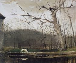 aizobnomragym: Andrew Wyeth “South Cushing”