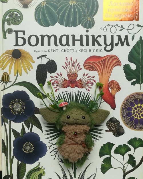 I forgot to show you my new beautiful book about plants and flowers! I adore botanical pictures and 