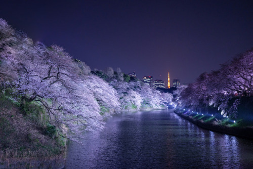 ourbedtimedreams: Chidori-ga-fuchi by Hajime Nagahata