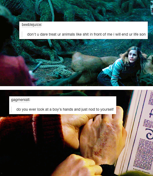 intoasylum:harry potter [part 2] | text posts