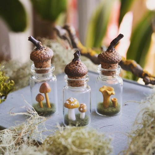 pocketmoss: Shop has been updated with all sorts of mushroom related goodies! Necklaces, wall decor,