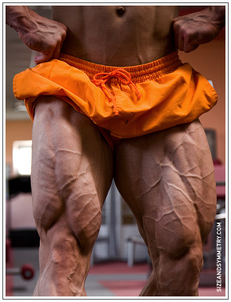  Igorem Illésem  google maps should use his veins instead