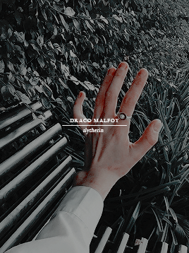 jaenmreau: edits alphabet ◦ ━━ Draco Malfoyit is exceptionally lonely, being Draco Malfoy.