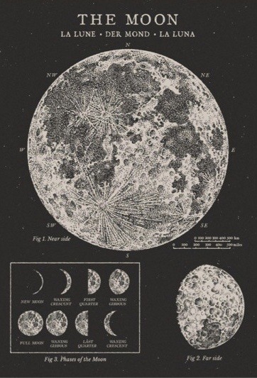 detailedart:The Moon, la Lune • old academic newspaper aesthetic
