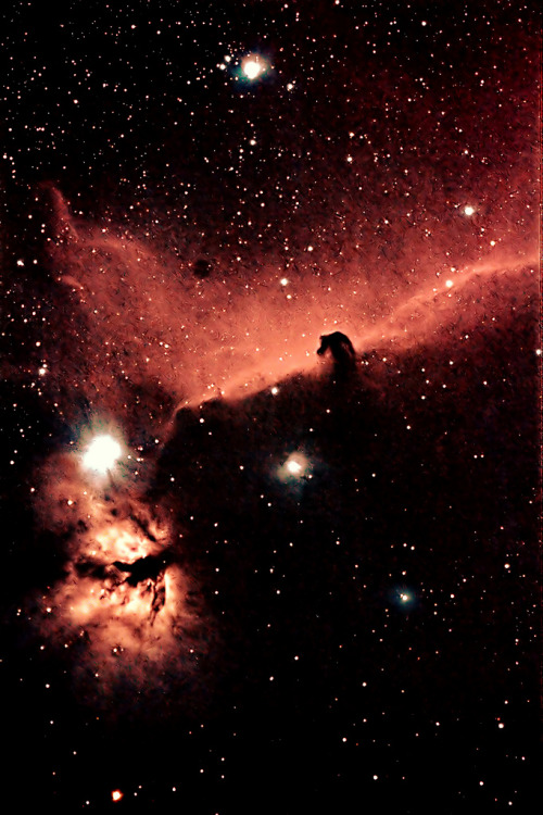 galaxyshmalaxy:Horsehead Nebula Ha-rgb (by Ian J Crichton)