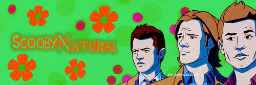 ScoobyNatural • Twitter Layout