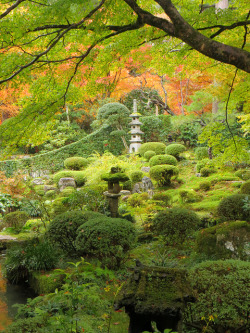 visitheworld:Gardens of Sanzen-in Temple in Ohara, Japan (by rangaku1976).