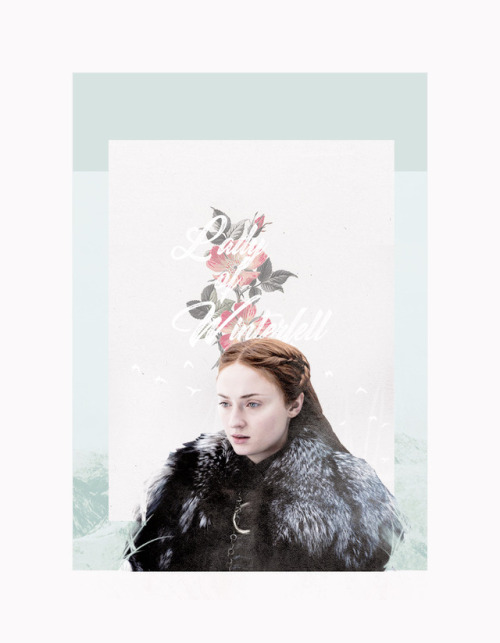 moghradhh: Sansa Stark, Lady of Winterfell