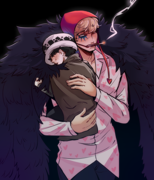 dokidreaming: read dressrosa, fell in love