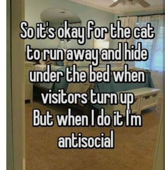 Introvert Problems
