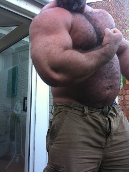 trianglealphadad:burlydaddy:Burly Daddy - burlydaddy.tumblr.com/Damn I love a furry muscled 