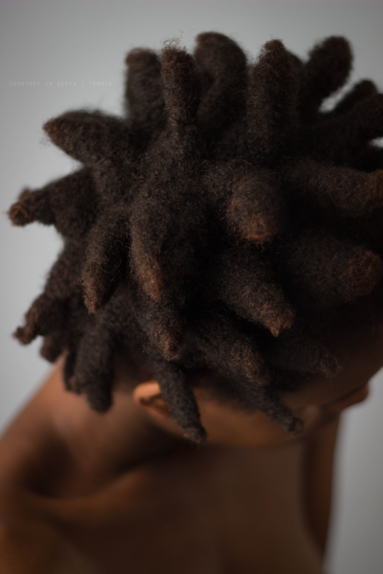 courtneyindepth:  just some quick pics of my locs at about a month old   Boo 😎