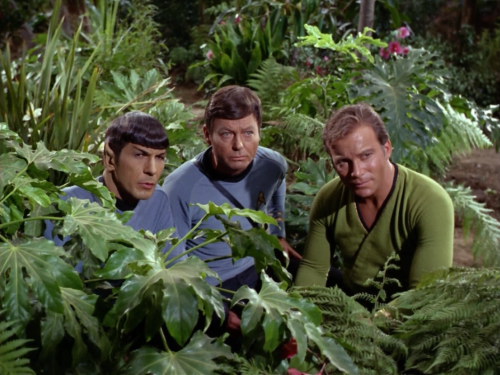 010011010100101001001101:Star Trek: Plants